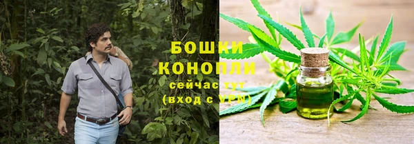 не бодяженный Белокуриха
