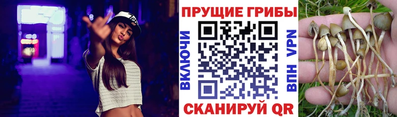 Псилоцибиновые грибы MAGIC MUSHROOMS  Томск 